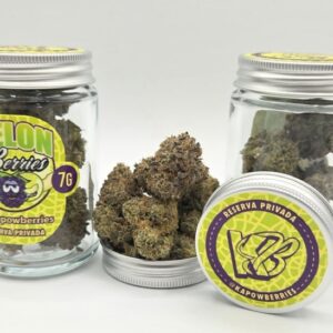KAPOWBERRIES VERDE MANGUA 7G JAR