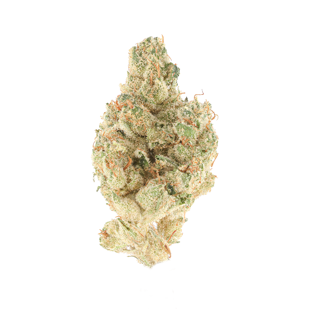 white berries kapow berries white berries kapow berries