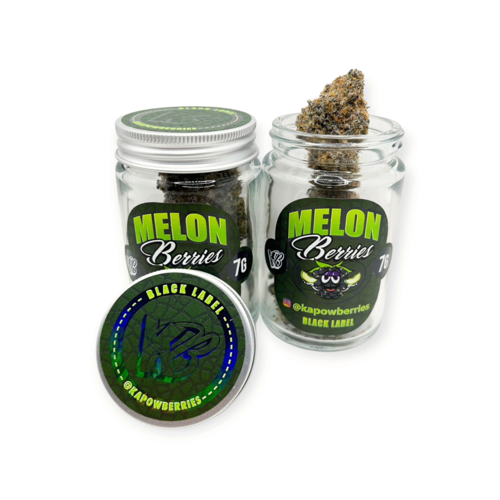 20250902 044237 1 1024x1024