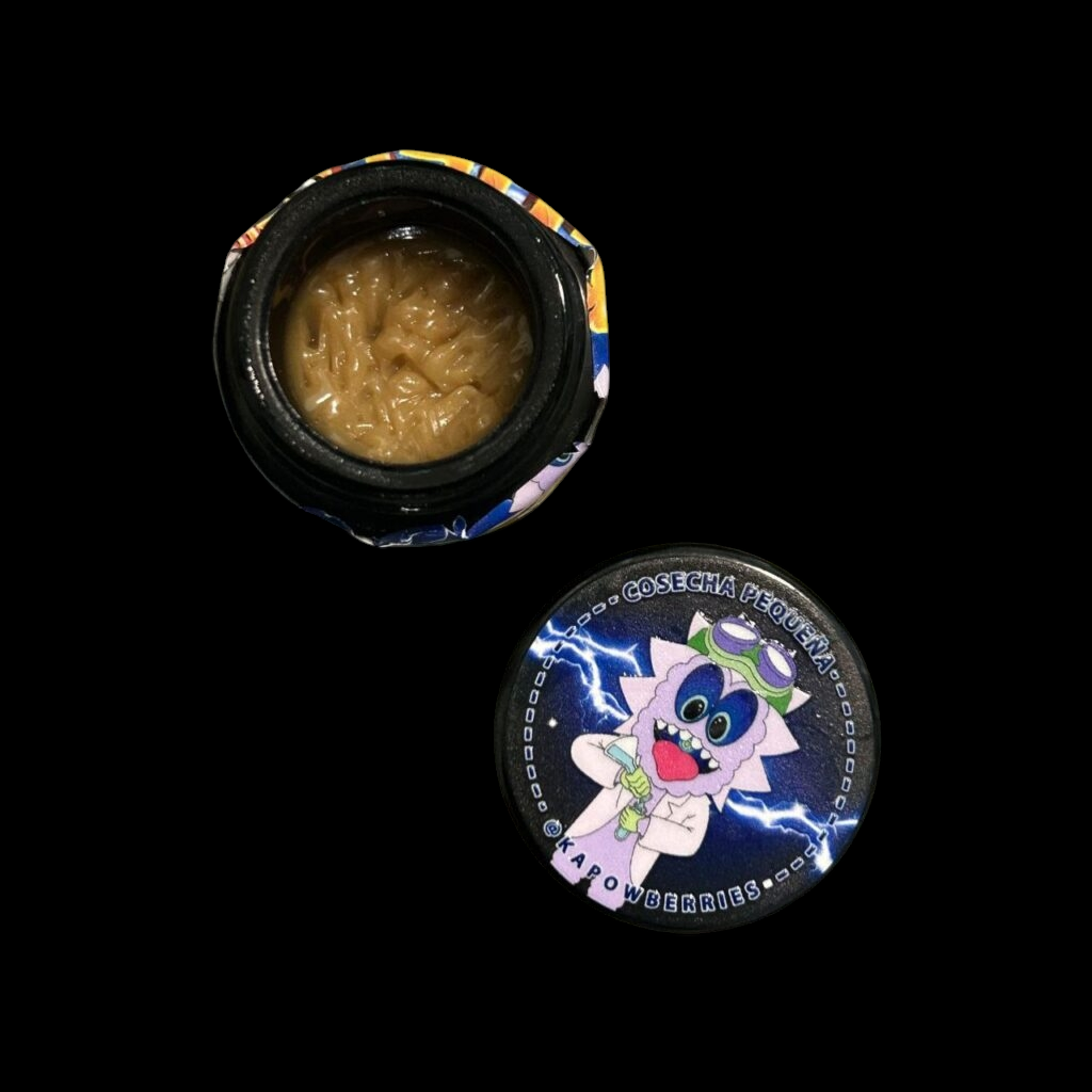 zhem to the future by kapow berries zhem to the future by kapow berries