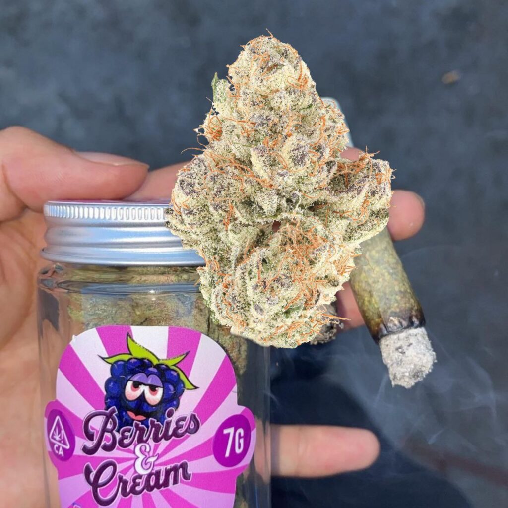 5904719149211437968 4 1024x1024