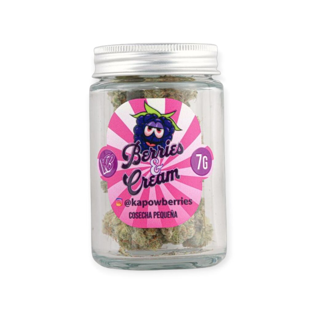 5904719149211437974 1 1024x1024