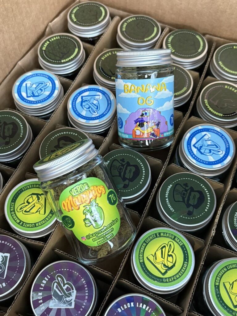 Kapow Berries cannabis flower and rosin products with bold berry flavor branding