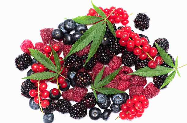 Kapow Berries new season cannabis strains displayed in vibrant packaging with frosty buds; includes Melon Berries, Berries & Cream, and Berry Lemonhead.