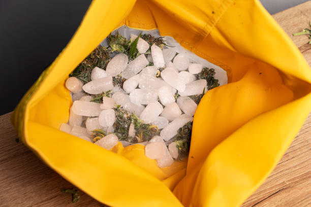 LIVE ROSIN DAB STORE