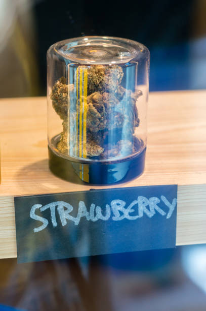 STRAWBERRY CANNABIS