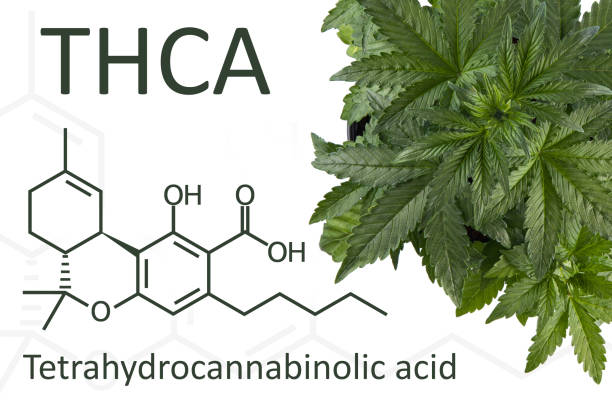 THCa Flower THCa Flower