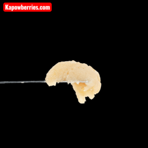 zhem to the future by kapow berries