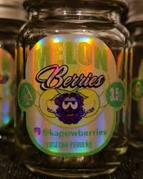 PREMIUM MELON BERRIES EXOTIC BUDS 