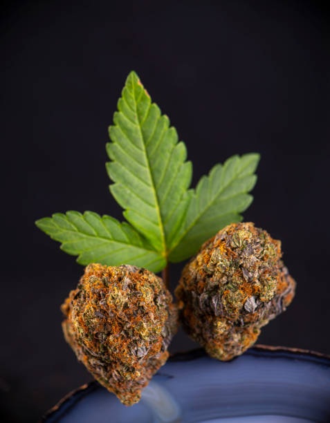 Kapow Berries Original Z 7G Black Label jar with frosty purple cannabis buds showcasing exotic candy terpene profile