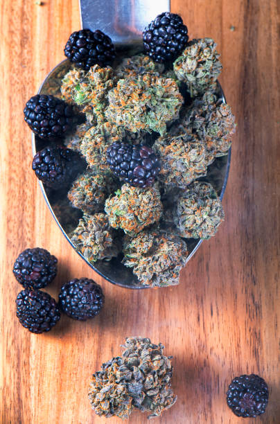 KapowBerries Premium Berries 7g Jar featuring indoor-grown hybrid cannabis buds