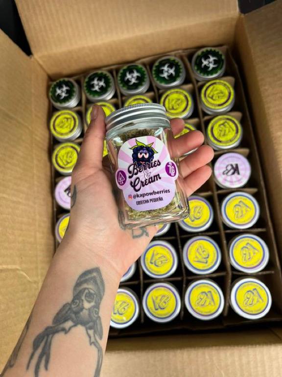 Kapow Berries cannabis strains Melon Berries, Durban Poison, Berries and Cream, Berry Lemonhead limited lineup