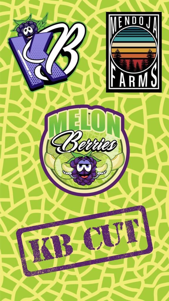 Close-up shot of fresh KB Mendoja Melon Berries in a small white bowl.