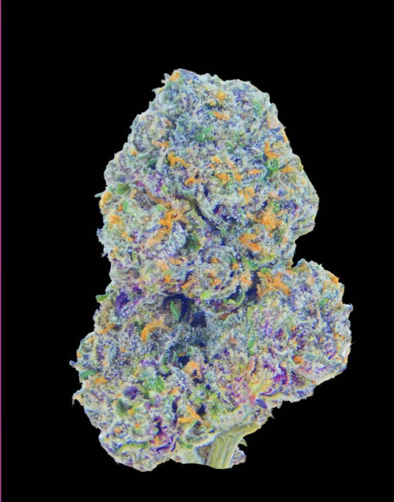 Frosty Kapow Melon Berries cannabis buds with deep purple streaks and citrus-colored pistils