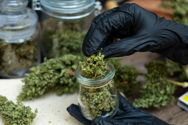 Simply Mary THCa flower jars and cannabis buds displayed on a wooden table, with KapowBerries.com branding in the background.