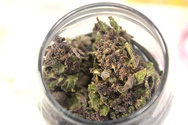 BERRIES AND CREAM STRAIN EFFECTS Istockphoto 612262472 612x612 1