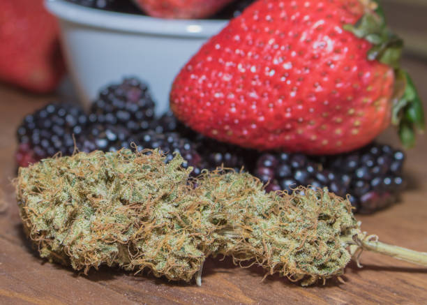 Crunch Berries cannabis strain buds with frosty trichomes, showcasing blueberry sweetness and OG gas aroma
