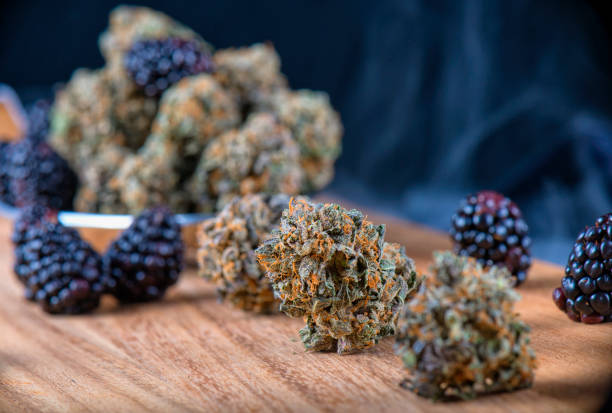 Frosty Berries and Cream cannabis buds with purple streaks, green highlights, and sweet dessert terpene profile