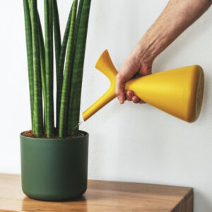 Home Plant bundle