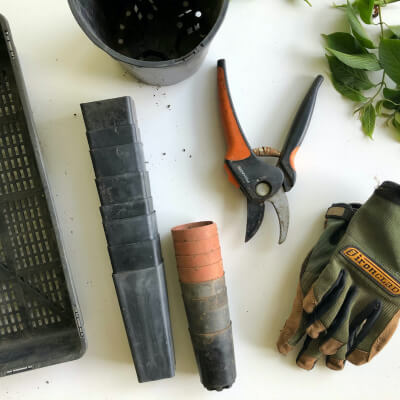 Home Plant accessories