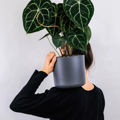 Home Ceramic pots