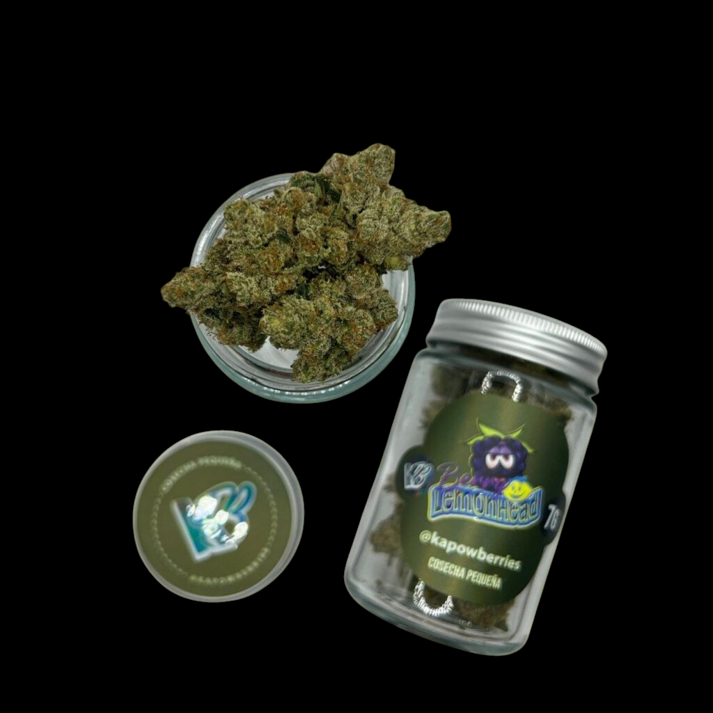kb berry lemonhead – 7g premium flower by kapow berries kb berry lemonhead – 7g premium flower by kapow berries