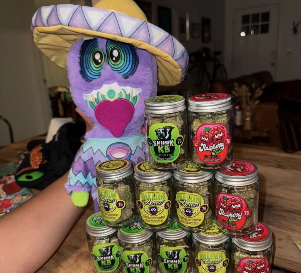 An assortment of various berry-themed cannabis strains including Melon Berries, Blue Cookies, and Raspberry varieties, showcasing different hues of green and purple buds.