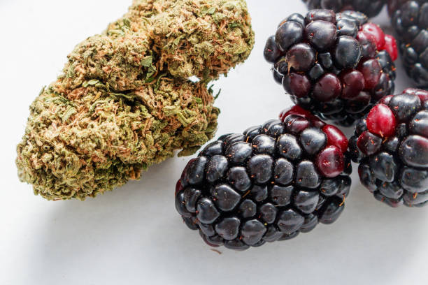 A bowl of fresh fruit containing chunks of cantaloupe and honeydew melon mixed with whole blueberries, raspberries, and blackberries.