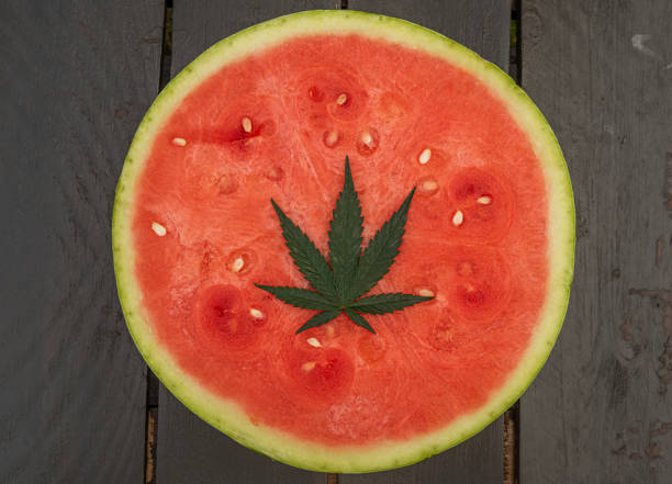 red sweet seedless melone with green marijuana leaf with yellow edge