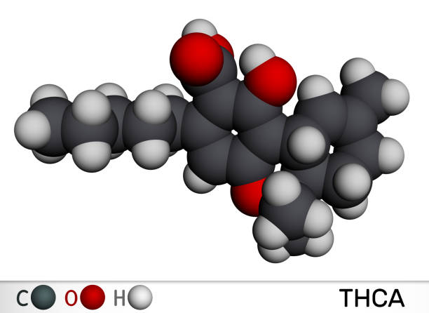 A diagram showing the chemical structure of THCA before and after the carboxylic acid group is removed by heat to form delta-9 THC.