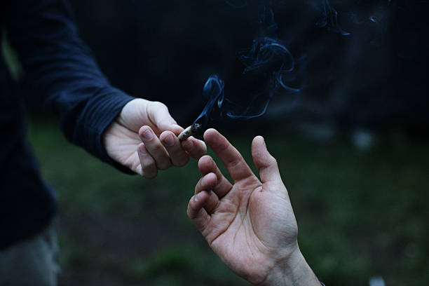 Closeup shot of Kapow Berries Berries & Cream THCa flower in a sealed 7g glass jar.