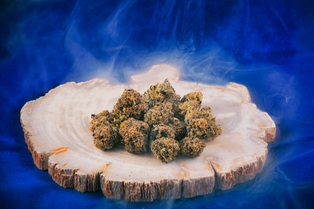 Boutique Kapow Berries cannabis buds highlighting berry terpene profile