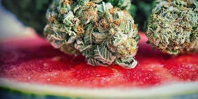 Ripe-Strawberry-Macro-Shot.jpg Macro photograph of a vibrant red ripe strawberry showing its detailed surface and seeds.