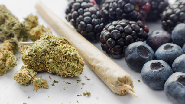 Close-up of a bowl overflowing with fresh organic kapow berries cannabis