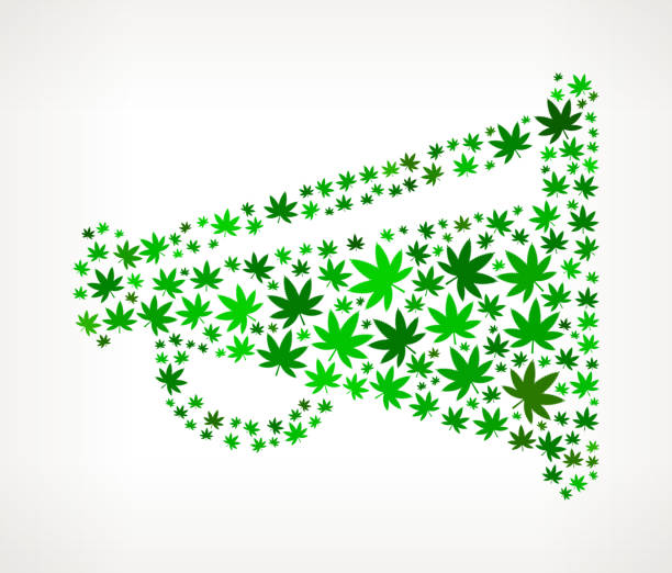 Text Graphic illustration of vibrant cartoon berries (melons, dark berries) with a stylized "KAPOW!" burst graphic behind them.