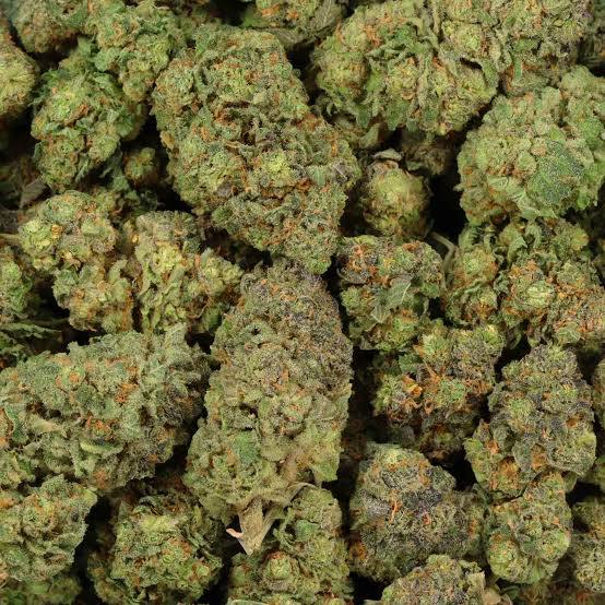 Exotic vs. Regular Weed: 5 Reasons Why Kapow Berries is the 2026 Gold Standard image