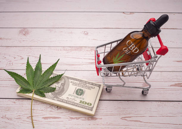 istockphoto 1484014902 612x612