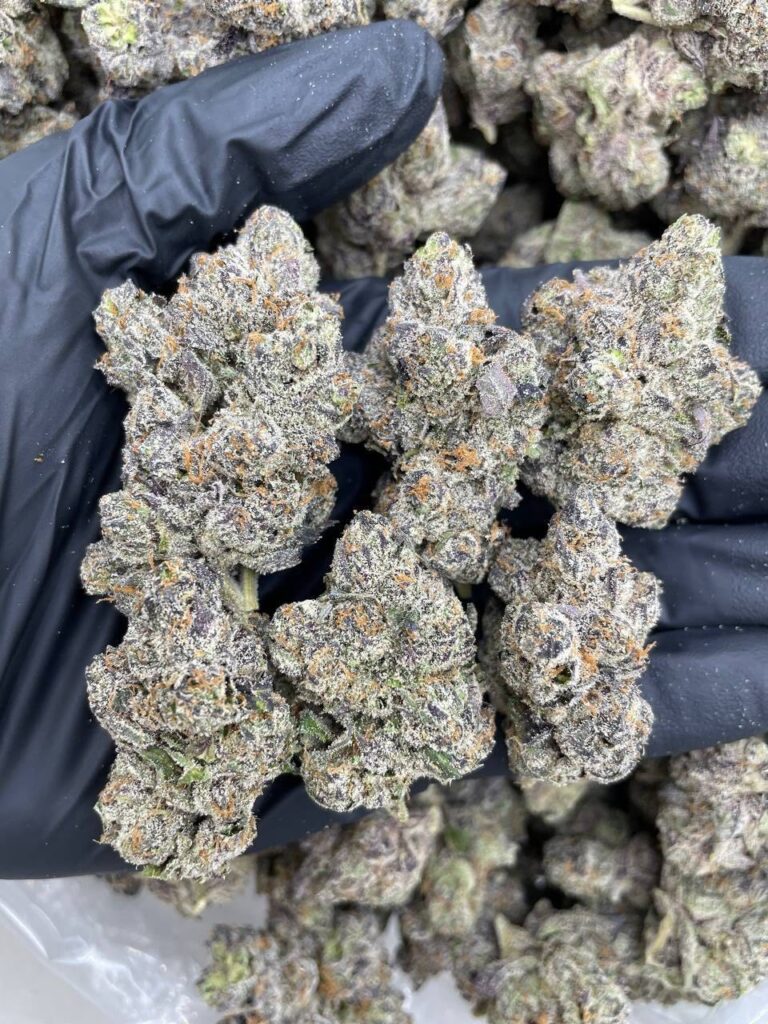 Black Label Berries Series Flavors 20260212 114924