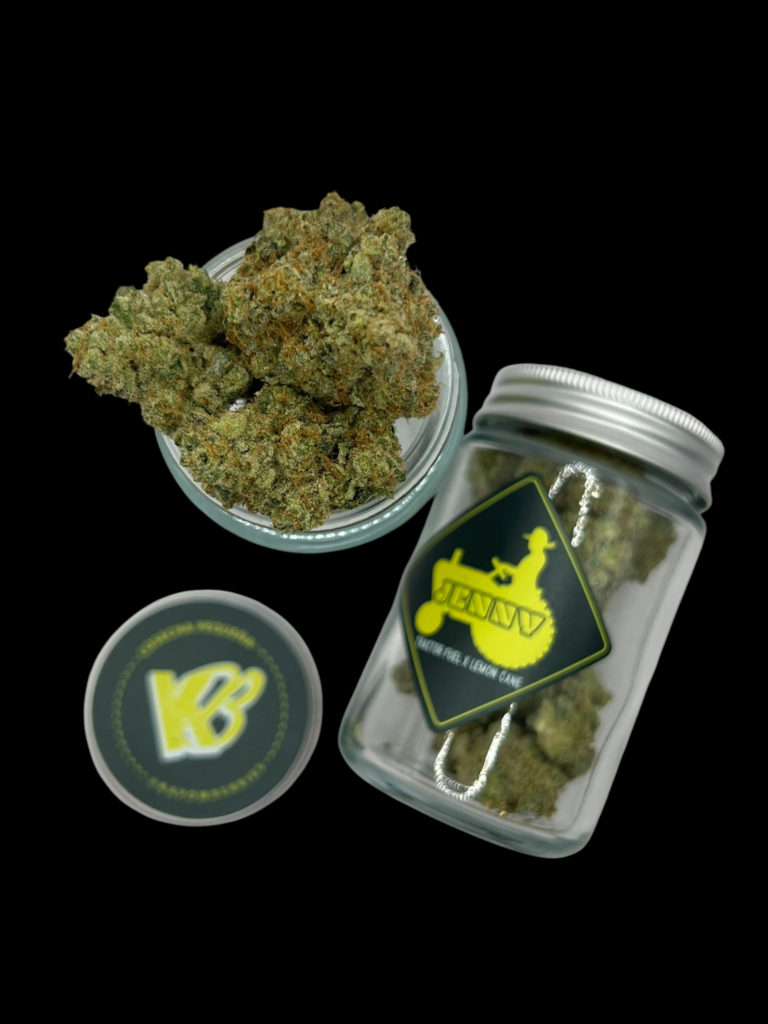 jenny dropped – tractor fuel × lemon cake gas meets zesty cake perfection
