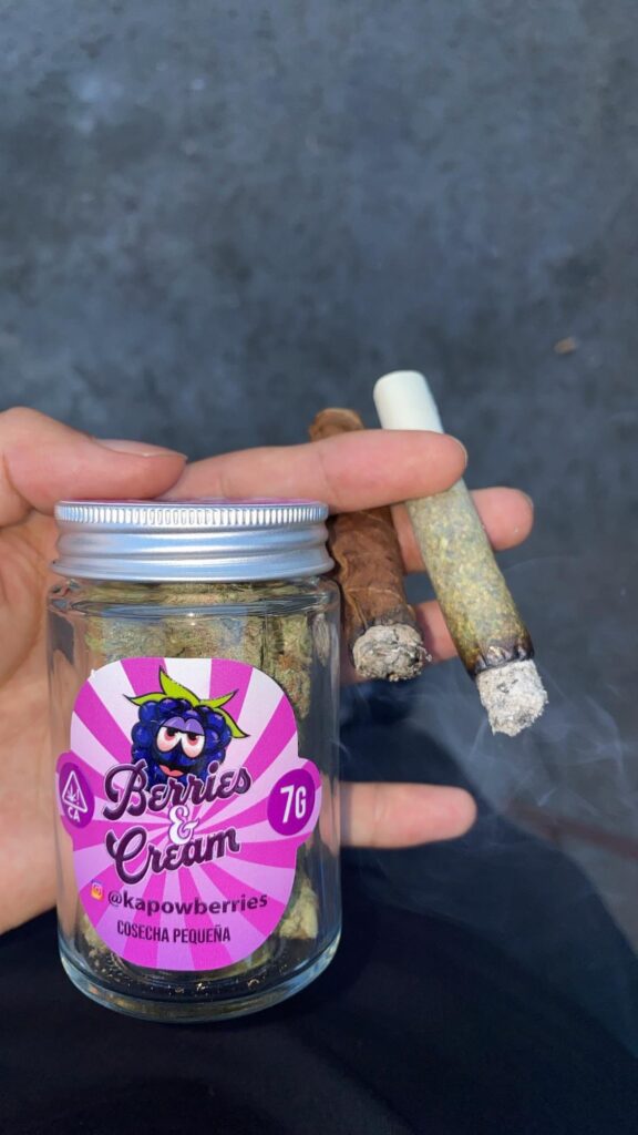 kapow berries v0 95ontcs6nh1d1