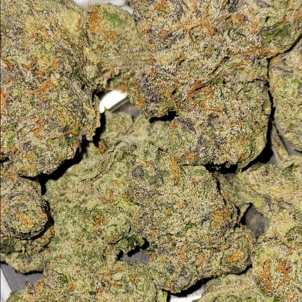 Small Batch Super Berries: Why the Kapow Berries "Cosecha Pequeña" is the Ultimate Connoisseur Choice 20260228 013811