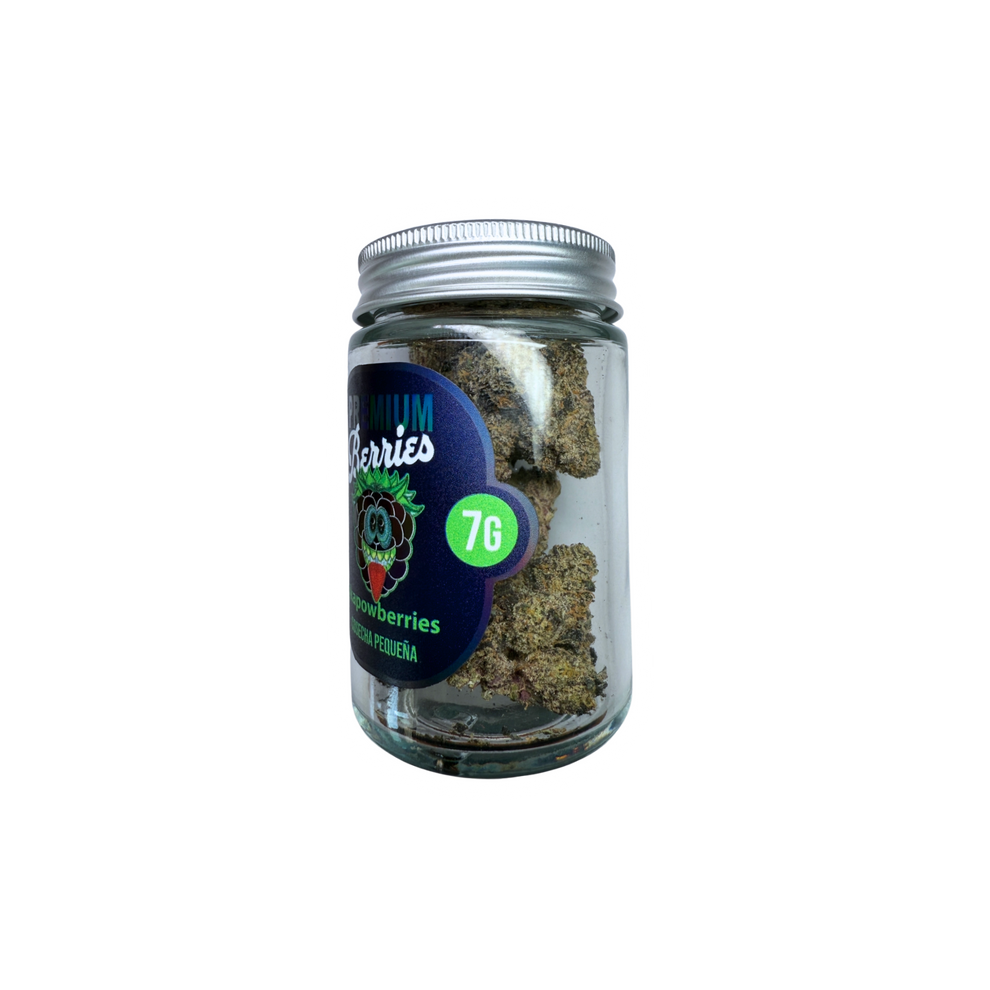 3 00dceae9 f2cd 4aa1 b081 8a1e8bb13110