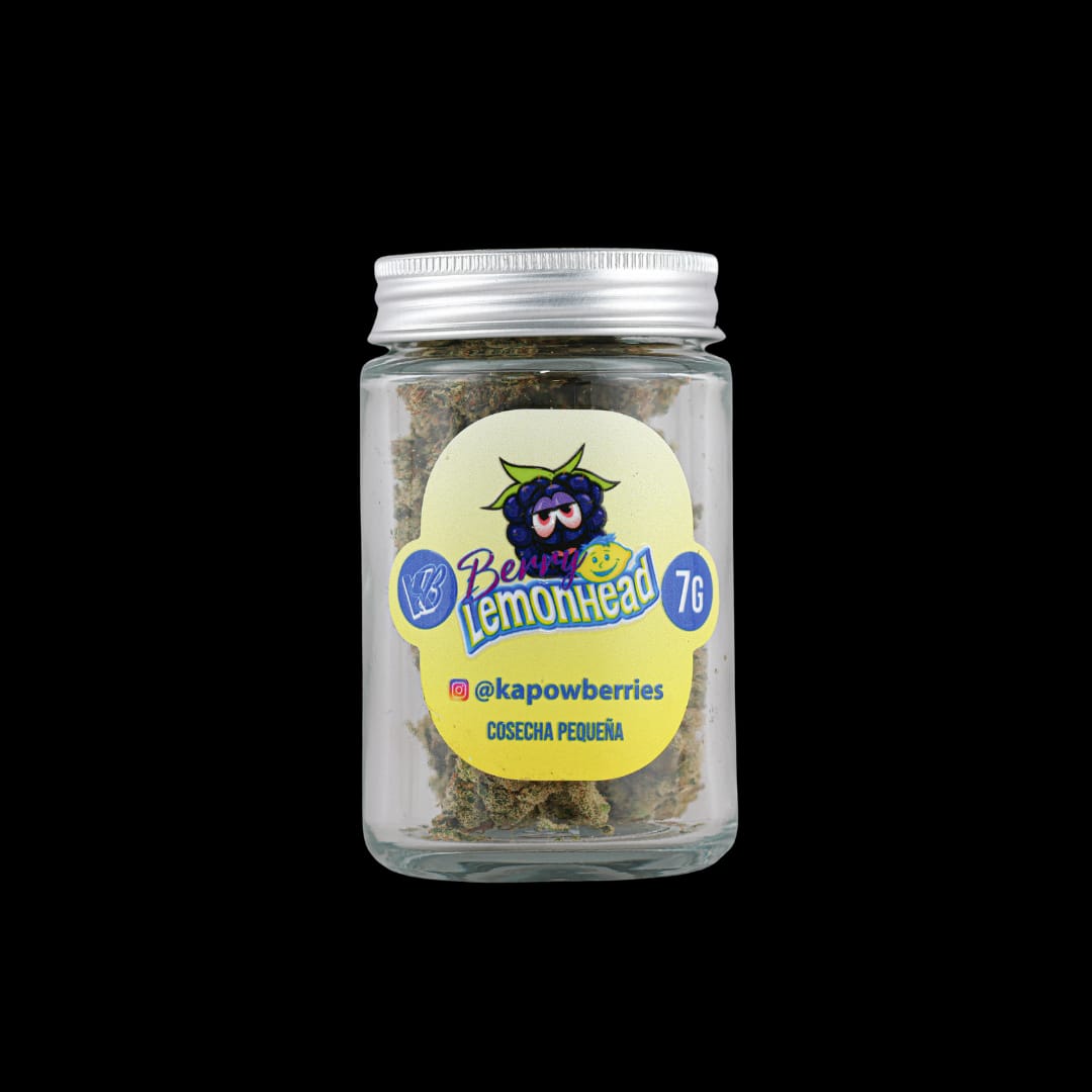 Lemonhead THCa Flower cannabis strain with sweet lemon candy and berry flavor notes by Kapow Berries
