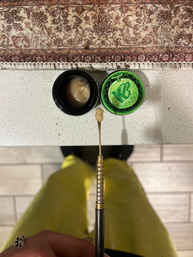 Kapow Berries Review: The Ultimate Guide to Melonberries & Super Berries" melon berries by kapow cultivated by mendoja v0 327zlf1n8htg1