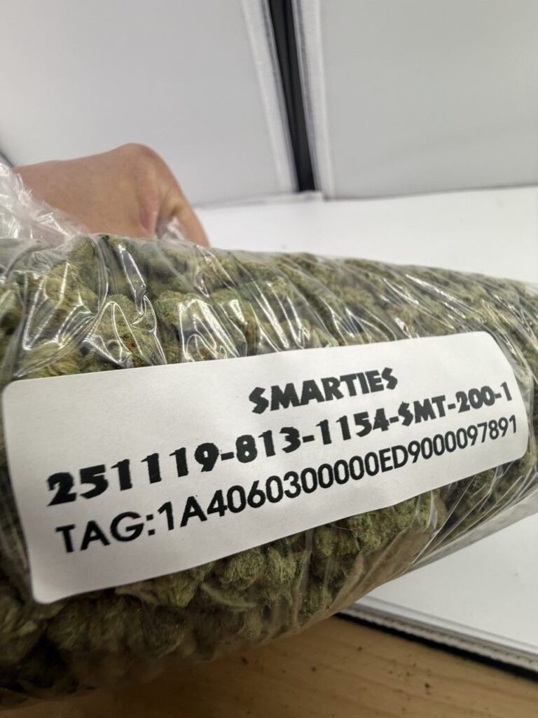 Zangría: The Ultimate Thin Mint Cookies x Zkittlez Hybrid Has Arrived 1000001392