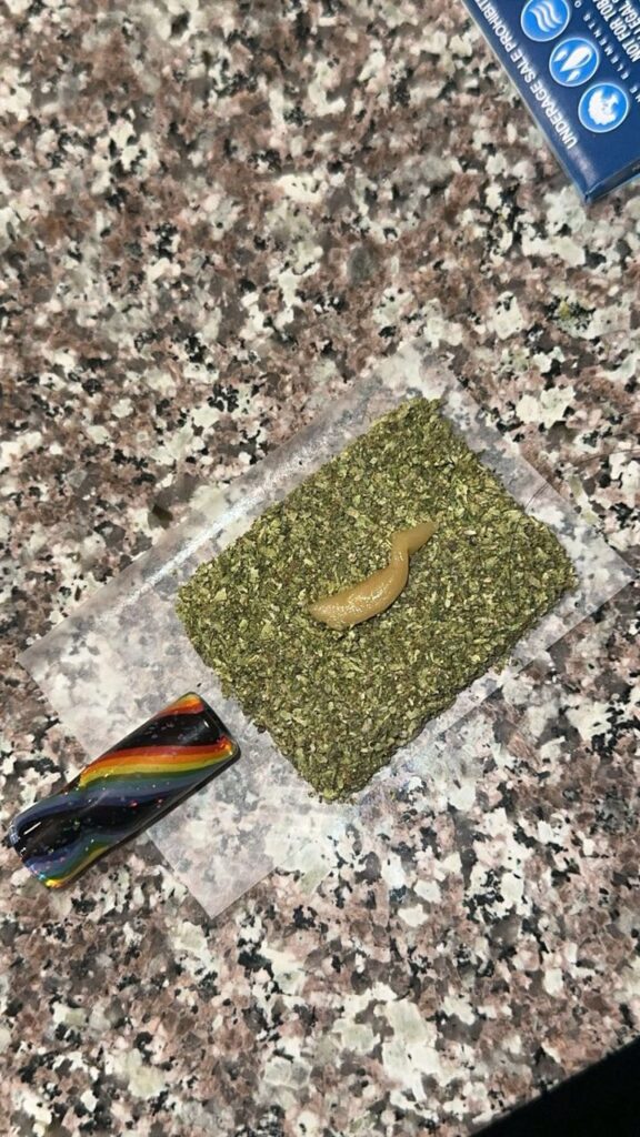 Zangría: The Ultimate Thin Mint Cookies x Zkittlez Hybrid Has Arrived 1000001413